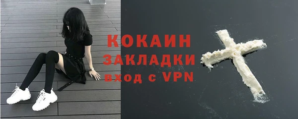 крисы Шарыпово