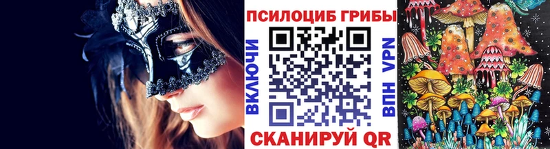 Псилоцибиновые грибы Cubensis  OMG ONION  Камышин 