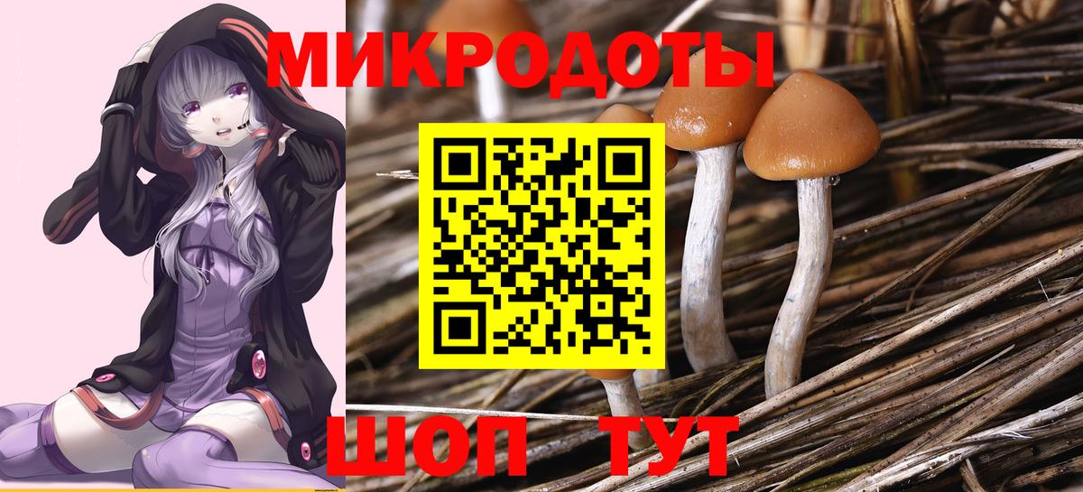 Псилоцибиновые грибы Magic Shrooms  Псилоцибиновые грибы ЛСД  Камышин  Вход с VPN 