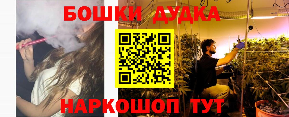 МАРИХУАНА сатива Камышин